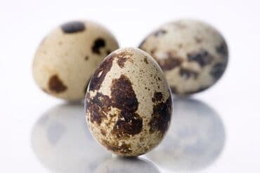 ad gunu hediyyeleri qadin ucun: Bildirçin yumurtası. 0.20 qəpik. çox sayda alındıqda aşağı qiymətlə — 1