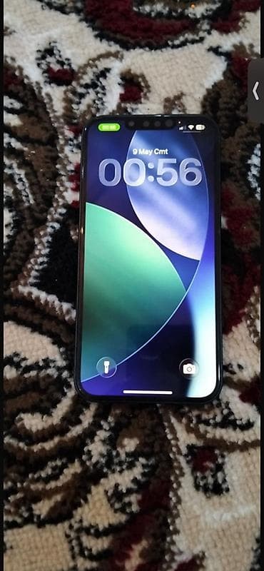 IPhone 13, Qara