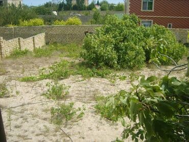 dübəndi torpaq: 14 sot, Tikinti, Makler, Kupça (Çıxarış) — 3