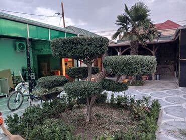 Tulumlar: Bağbanam kime bağban lazımdırsa buyura biler — 4