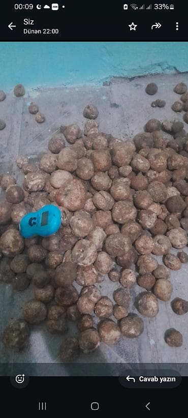 Salam Aleykum tam təbii yer domabalanı satılır sifariş vemək istəyən