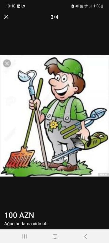 Digər tikinti xidmətləri: Ağac budama xidməti – 100 AZN Peşəkar bağ və ya həyət üçün formaverən — 3