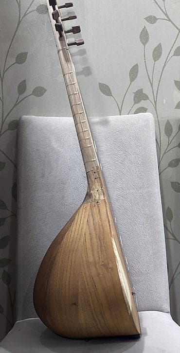 saz aparatları: Saz – qısa saplı, armud formalı korpuslu xalq çalğı aləti - Korpus — 3