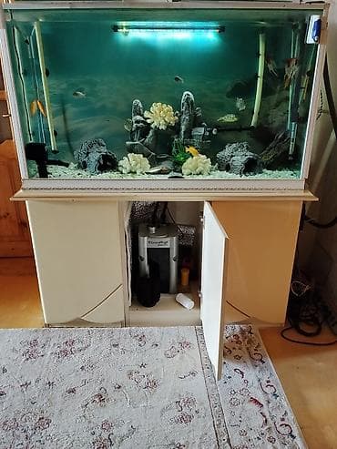 Dördbucaq akvarium, Balıqlarla birlikdə, 280 l, Ünvandan götürmə