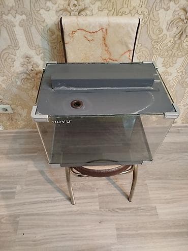 heyvanlar: BOYU şüşə akvarium idyal veziyetdedi Aval Akvarum işlenmişdi - — 2