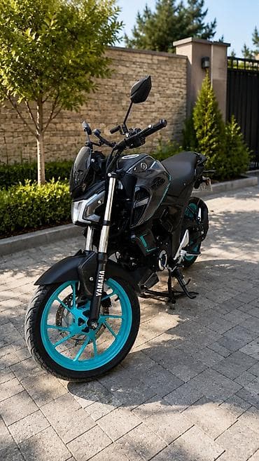 matasklet: Yamaha - FZS 150 sm3, 7550 km — 1
