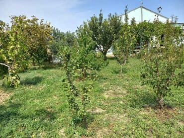 maşdağa həyət evləri: Zeynalabdin Tağıyev, 90 kv. m, 3 otaqlı, Hovuzsuz — 11