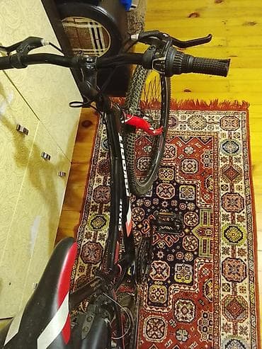 24 lük velosiped: İşlənmiş İki təkərli Uşaq velosipedi 24", Ünvandan götürmə, Ödənişli çatdırılma — 3