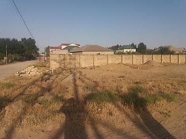 Tikinti