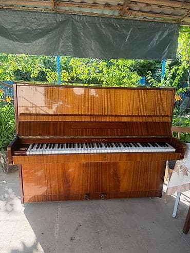 İdman və hobbi: Piano, Belarus, Akustik, İşlənmiş, Ünvandan götürmə, Pulsuz çatdırılma, Ödənişli çatdırılma — 4