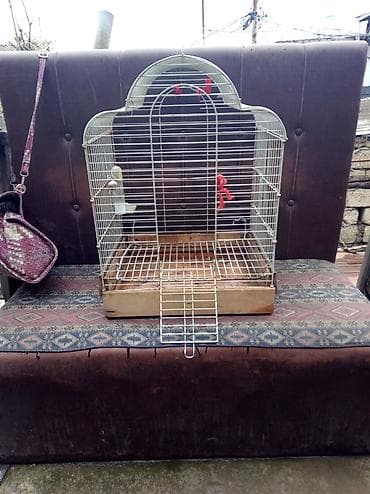 Quş qəfəsi – metal karkaslı, taxta altlıqlı - Forma: üst hissəsi