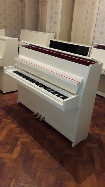 piano dersleri baki: Pianino PETROF Cexya stehsalı. Ideal vəziyyədə. Cadırılma və köklənmə — 1