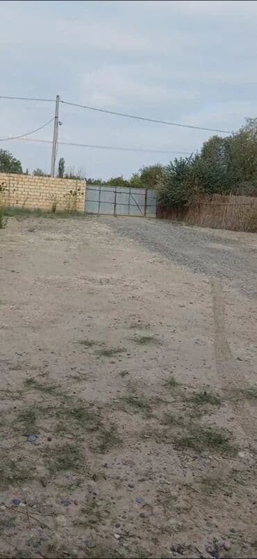 80 sot, Kənd təsərrüfatı, Mülkiyyətçi, Kupça (Çıxarış) lalafo.az -da 80 sot, Kənd təsərrüfatı, Mülkiyyətçi, Kupça (Çıxarış)