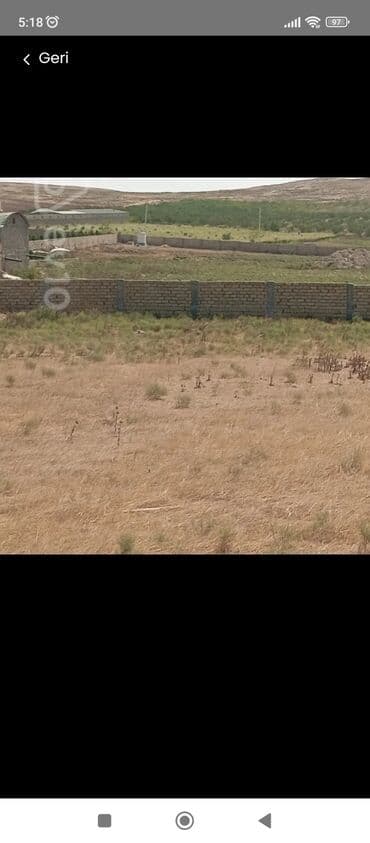 goradil torpaq satilir: 41 sot, Kənd təsərrüfatı, Mülkiyyətçi, Kupça (Çıxarış) — 4