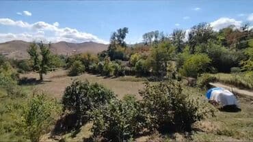 ayda torpaq satışı: 40 sot, Kənd təsərrüfatı, Mülkiyyətçi, Kupça (Çıxarış) — 2