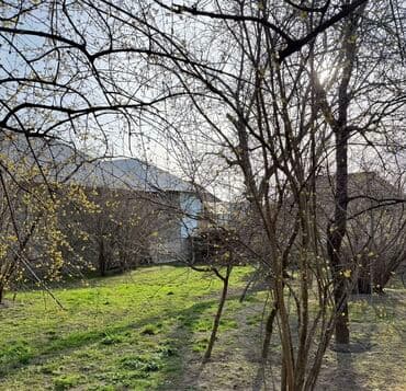 yevlaxda satılan evlər: 8 sot, Tikinti, Mülkiyyətçi, Kupça (Çıxarış) — 3