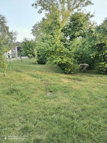 türkanda bağ evi satılır: 70 м², 4 комнаты — 4