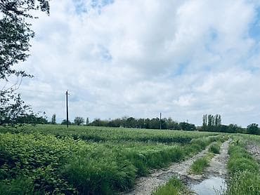 sumqayıt ev alqı satqısı 2018: Для сельского хозяйства, Купчая — 6