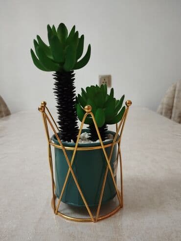 Столовая посуда: Миски, цвет - Зеленый — 1