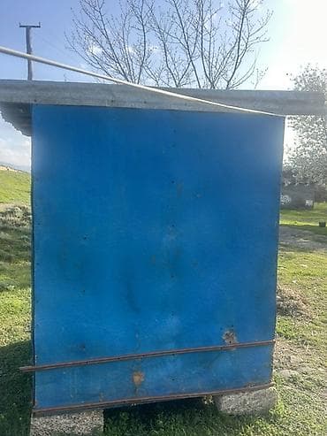 camis heyvan: Salam. Goyercin dami eni-1.38sm — 10