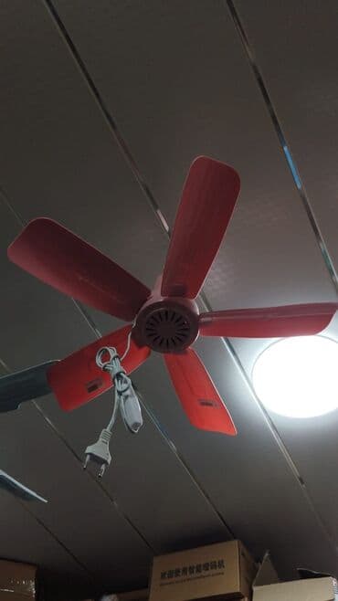 asma ventilyator: Вентилятор Новый, Потолочный, Лопастной, Нет кредита, Платная доставка, Самовывоз, Доставка в районы — 4
