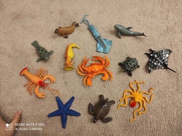 pop it qiyməti: Babylandan 18 azn alinib.Her biri yaxwi veziyyetdedir.Hamisi birlikde — 3