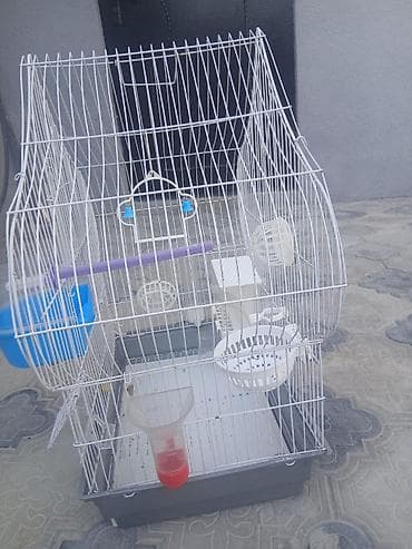 Qəfəslər: Iki ədəd böyük qəfəs satılır biri 20 m bütün aksisuarlarıyla birlikdə — 8