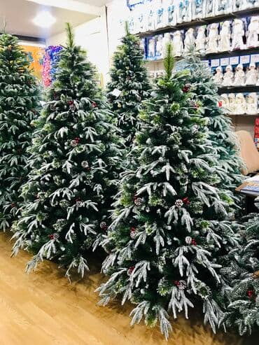 gül suyu qiyməti: Yolka satisi teze mallar 120 sm 75 man 150 sm 120 man 180 sm -130 man — 1