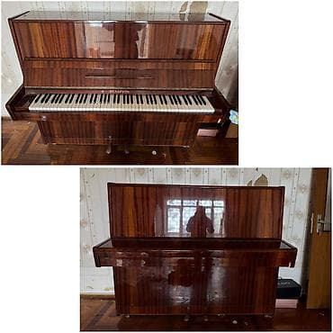 pianinolar: Piano, Belarus, Akustik, İşlənmiş, Ünvandan götürmə — 1