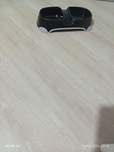 bakida itlerin satisi: Pişiklər — 1