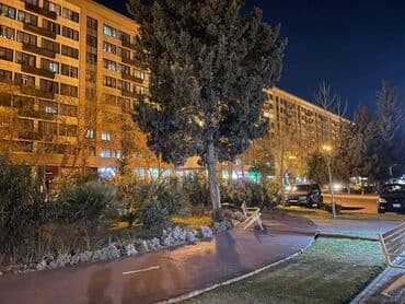 keşle kiraye: Nərimanov rayonu,Ataturk parki ile üzbəüz, Ayna suıtanova yaxin — 7