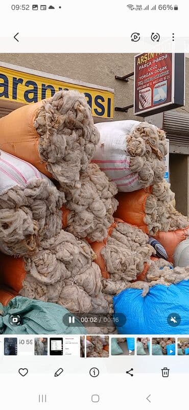 agdag astar qiymeti: QOYUN YUNU SATILIR Şamaxı yunu — 7