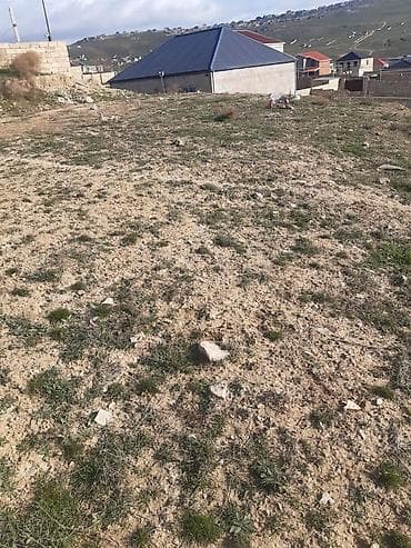 Tikinti, Kupça (Çıxarış)