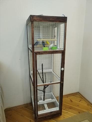 Ev quşları üçün hündür qəfəs