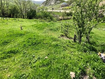 yeni əmlak sumqayıt: 30 sot, Kənd təsərrüfatı, Mülkiyyətçi, Kupça (Çıxarış) — 8