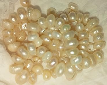 eclat la violette: 🌹 TƏMİZ MİRVARİLƏR 1ƏDƏD 10₼ — 1