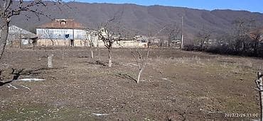 11 sot, Kənd təsərrüfatı, Mülkiyyətçi, Kupça (Çıxarış)