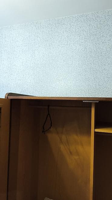 iwlenmiw wkaf: Dolab, icinde guzgu qapinin bir terefinde, o biri terefinde qayish — 7