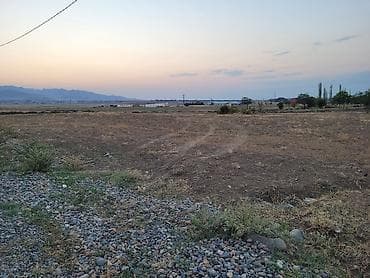 torpaq 2 sot: 24 sot, Kənd təsərrüfatı, Maklerlər narahat etməsin, Kupça (Çıxarış) — 3