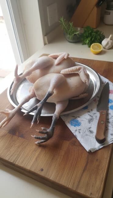 dragon fruit qiymeti: Kilosu 12 azn — 1