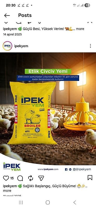 heyvan doşəyi: Məhsul: İPEK YEM – quşçuluq üçün peşəkar yem çeşidləri (Net 50 kq — 3