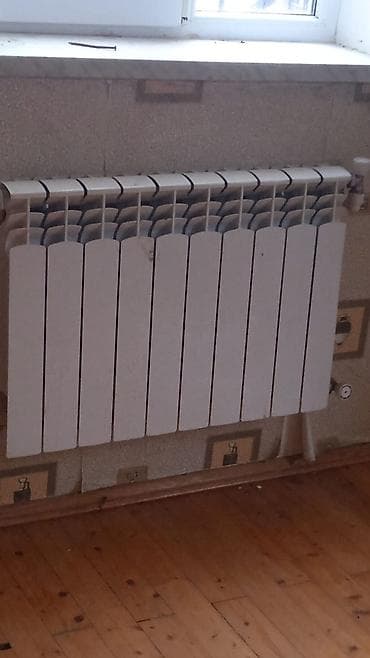 cuqun radiator: Seksiyalı Radiator Alüminium — 3