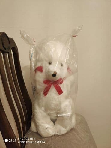don formalari toy ucun: Satilir .Yeni — 3