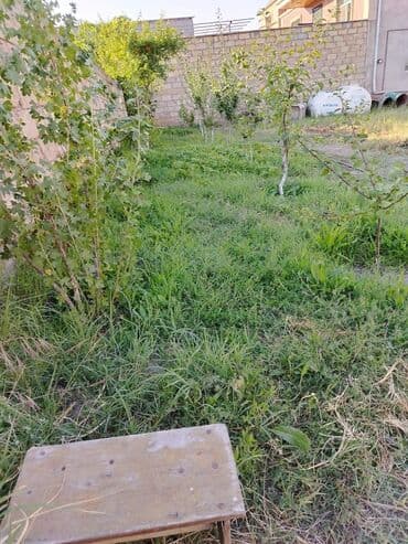 biləcəridə torpaq satılır: 5 sot, Tikinti, Mülkiyyətçi, Bələdiyyə — 7