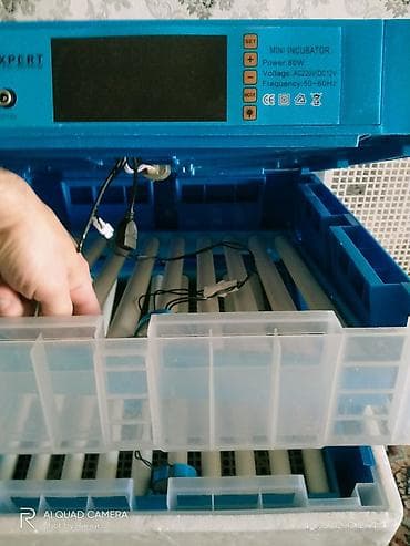 şüşe vitrin: Məhsul: JC Expert Mini Inkubator, təzədi 
- 164 — 6