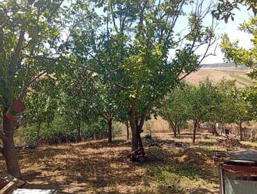 qazax rayonu: 4 otaqlı, 80 kv. m, Kredit yoxdur, Orta təmir — 17