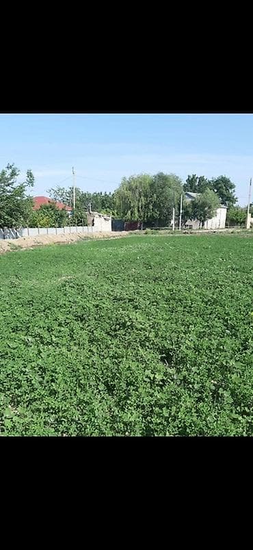 qaraba: Kənd təsərrüfatı — 1
