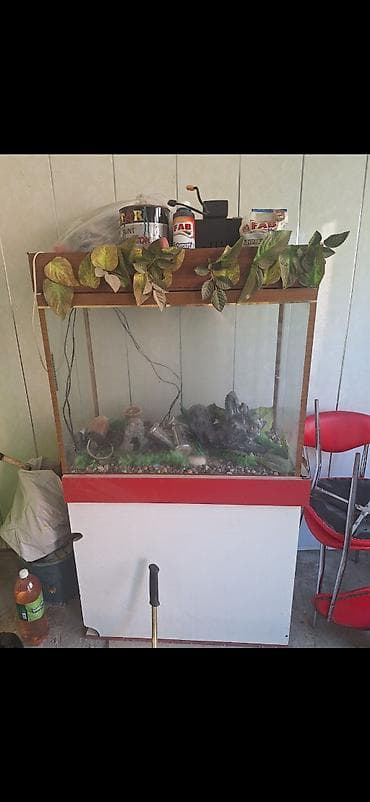 kompresör 100 lt: Dördbucaq akvarium, Boş, 100 l, Ünvandan götürmə — 1