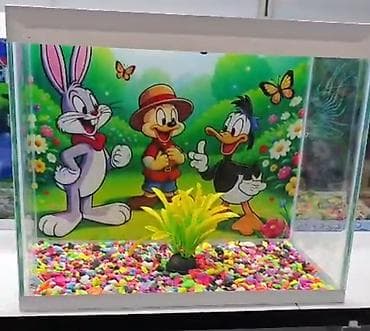 Satiwi 🐬Ağ şəffav danio ve glofishler 0.40azn 🦈 Danio baligi olcu 2