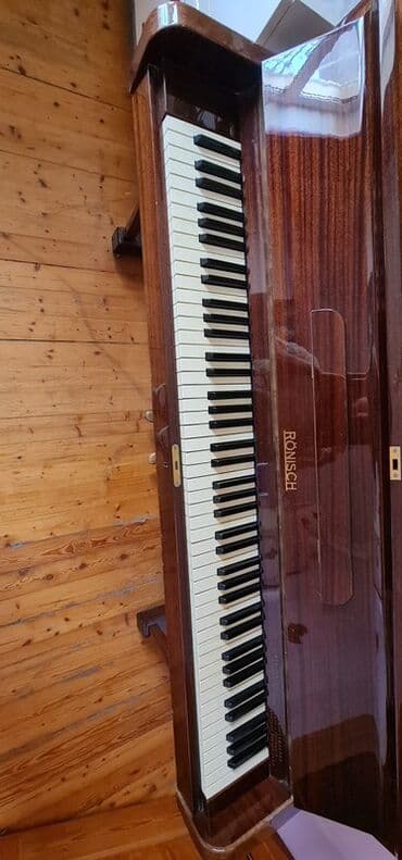 Аккордеоны: Пианино, Rönisch, Акустический — 6